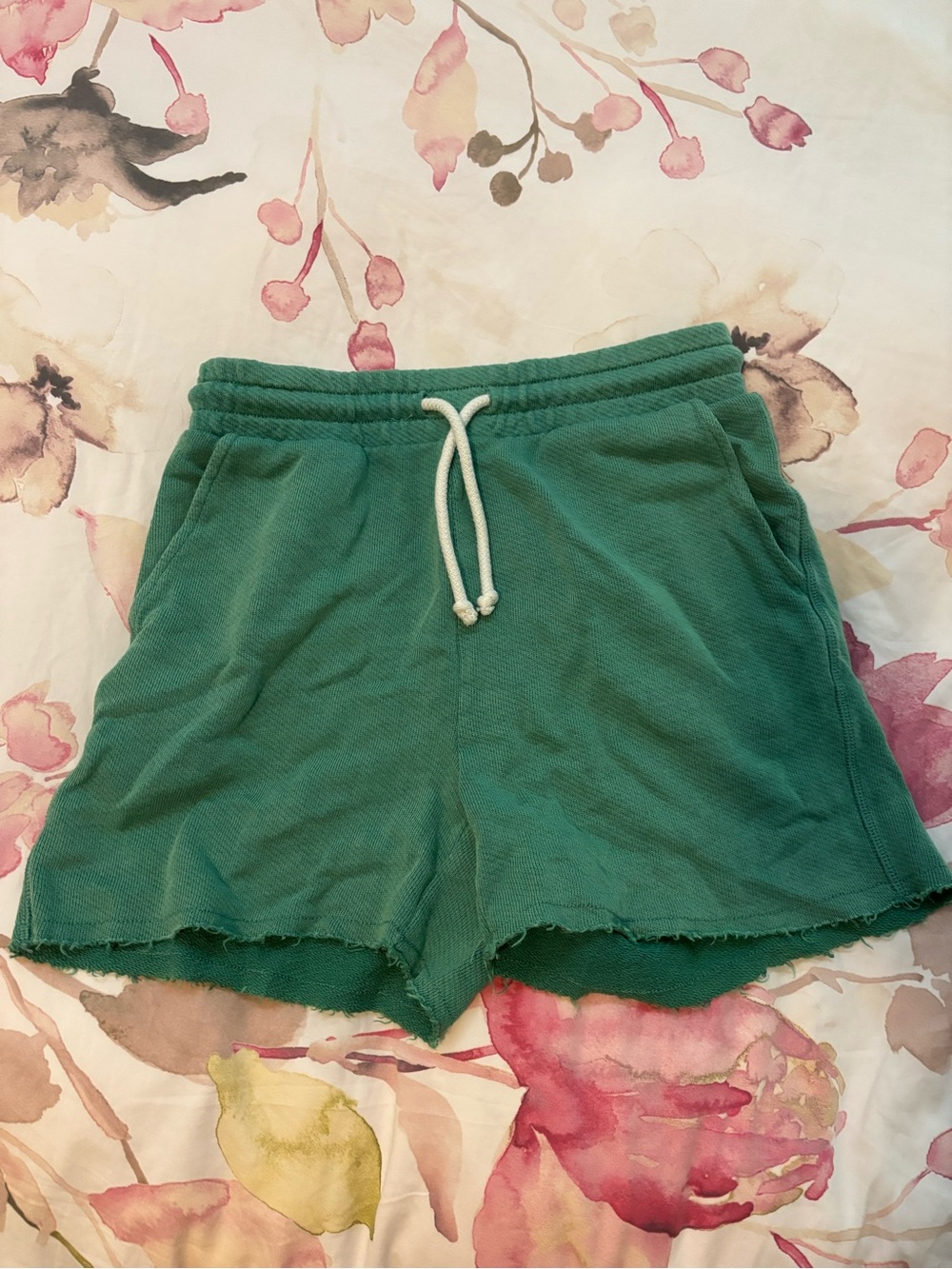 American Eagle Outfitters Teal Green Drawstring Athletic Shorts